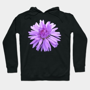 purple flower, flowers, nature, blooms, violet Hoodie